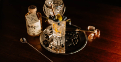 Bagnoli del Trigno: I gin molisani di bacche al prugnolo festeggiano il primo compleanno